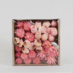 Accesorii CoralBloom