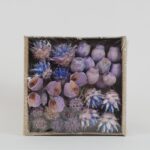 Accesorii PurpleBloom